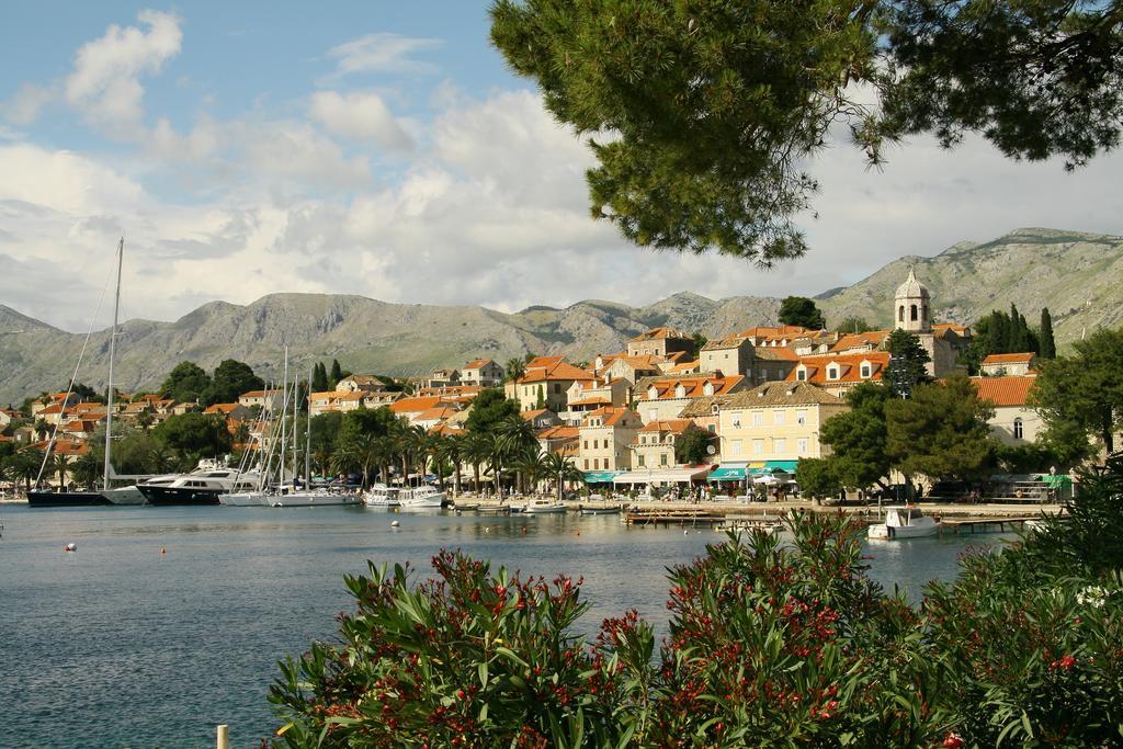 Joy Cavtat