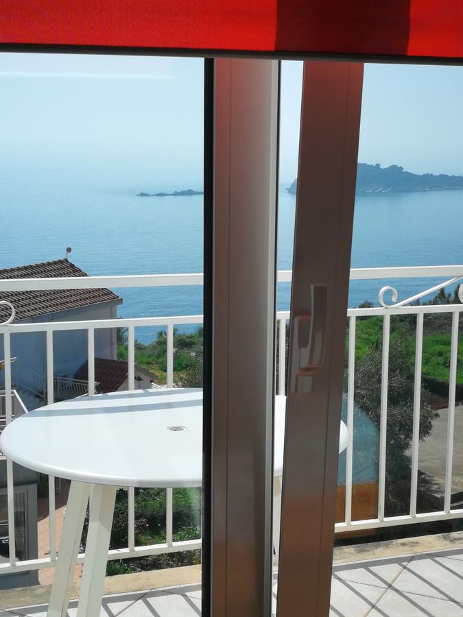 Joy * Cavtat