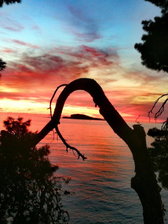 Joy * Cavtat
